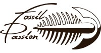 Fossil Passion